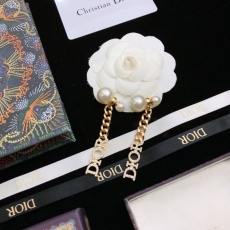 Christian Dior Earrings